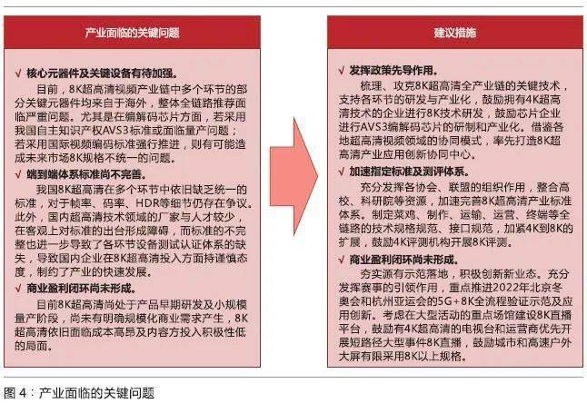 新奥门免费资料大全使用注意事项,精选解释解析落实超级版230.334