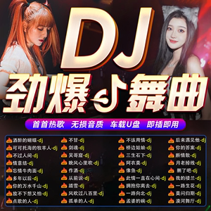 车载DJ舞曲超劲爆歌单免费下载，2020精选舞曲大放送